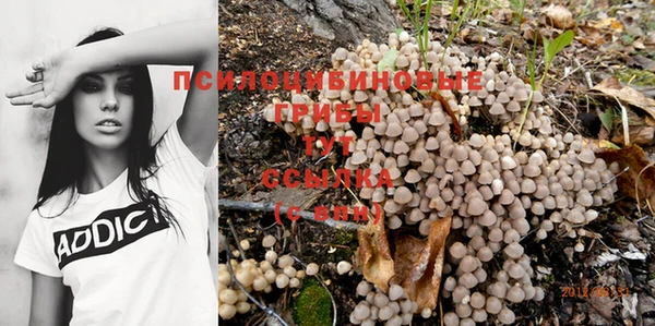 гидропоника Аркадак