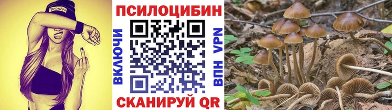 mega ONION  Таруса  Псилоцибиновые грибы мухоморы 